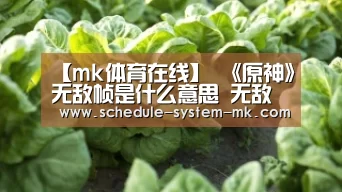 【mk体育在线】
《原神》无敌帧是什么意思 无敌帧怎么触发(图2) mk体育注册