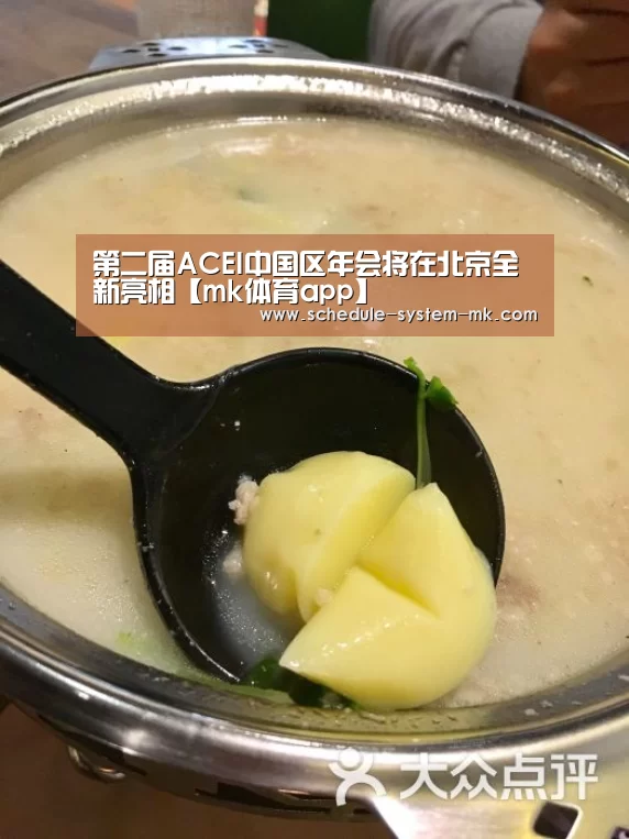 第二届ACEI中国区年会将在北京全新亮相【mk体育app】(图3) mk体育注册